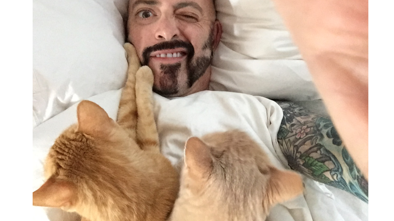 Animal planet hot sale jackson galaxy